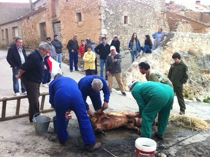 Atauta: Cumplir la tradición porcina
