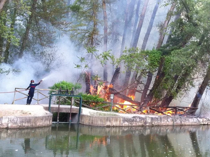 Un incendio destroza dos hectáreas del Sotillo