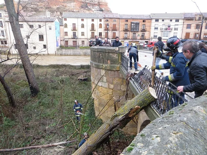 El agua provoca caída de árboles en la N-110 sin causar daños
