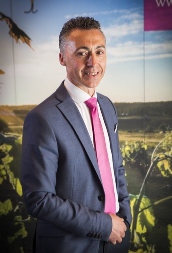 La Ruta del Vino Ribera del Duero, la segunda más visitada