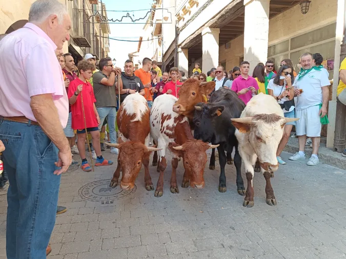 San Esteban se prepara para el Todos a Pedales y la becerrada