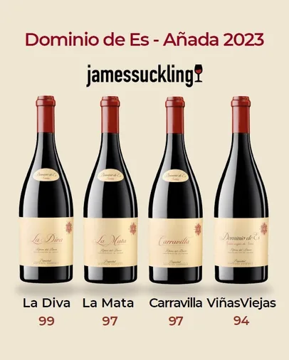 La Diva de Dominio de ES en la cumple de los vinos de Ribera