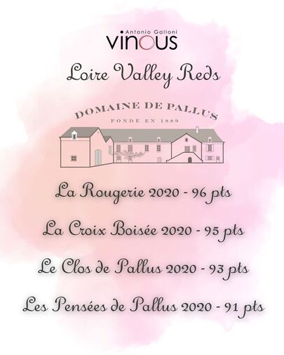 Domaine de Pallus entre los mejores vinos del Loira