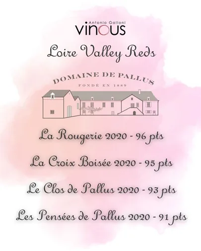 Domaine de Pallus entre los mejores vinos del Loira