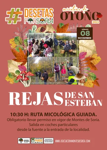 Rejas y Villálvaro, nuevas paradas del Micotour de Montes de Soria