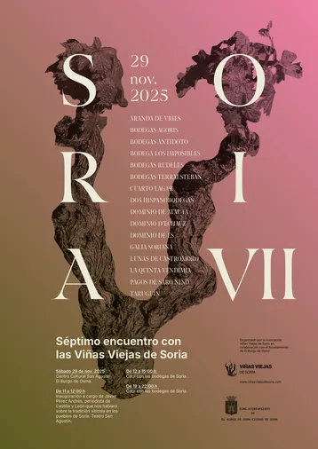 Las Viñas Viejas de Soria se encontrarán en El Burgo de Osma el sábado