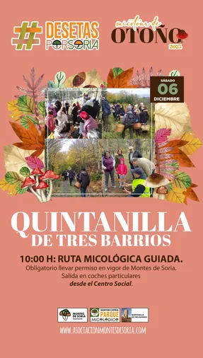 Quintanilla de Tres Barrios despide el Micotour en el municipio