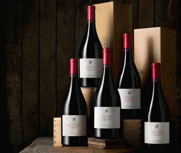 Dominio de Atauta saca su añada 2019 de la Colección Single Vineyards