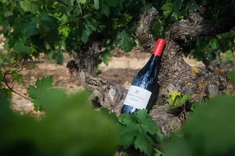 Dominio de Atauta presente en la Wine Paris 2026