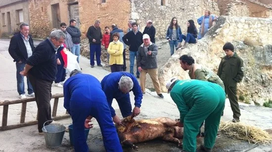 Atauta: Cumplir la tradición porcina