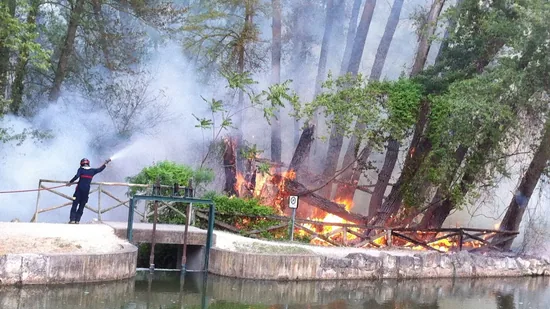 Un incendio destroza dos hectáreas del Sotillo
