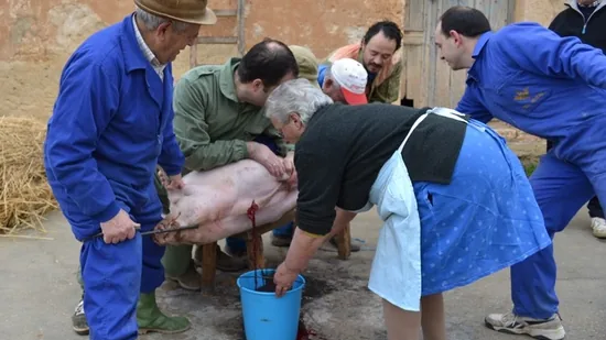 Atauta celebra su matanza popular
