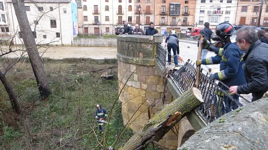 El agua provoca caída de árboles en la N-110 sin causar daños