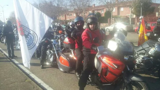 Pingüinos sorianos sobre dos ruedas