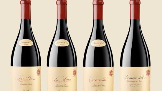 La Diva de Dominio de ES en la cumple de los vinos de Ribera