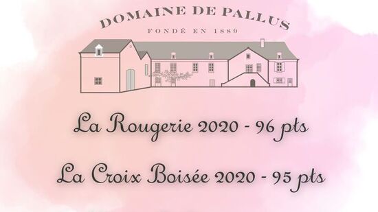 Domaine de Pallus entre los mejores vinos del Loira