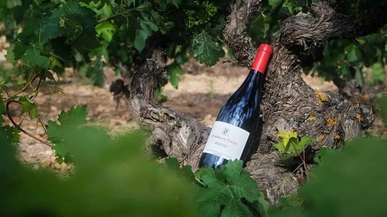 Dominio de Atauta presente en la Wine Paris 2026
